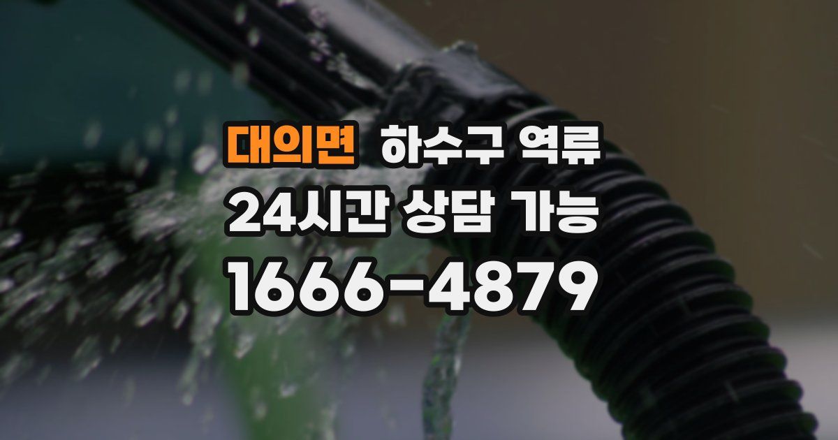 대의면 하수구 역류