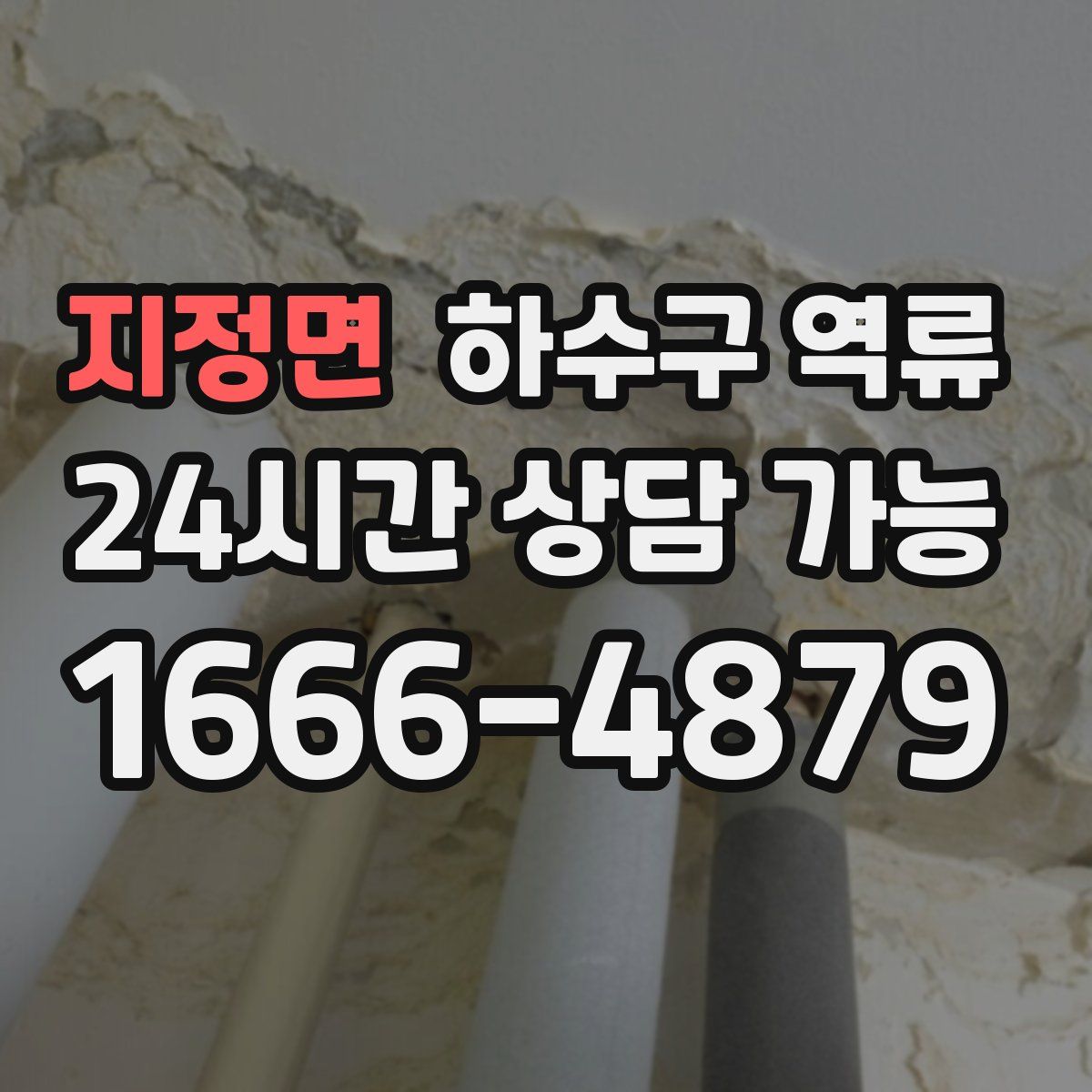 지정면 하수구 역류