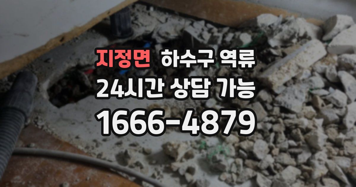지정면 하수구 역류