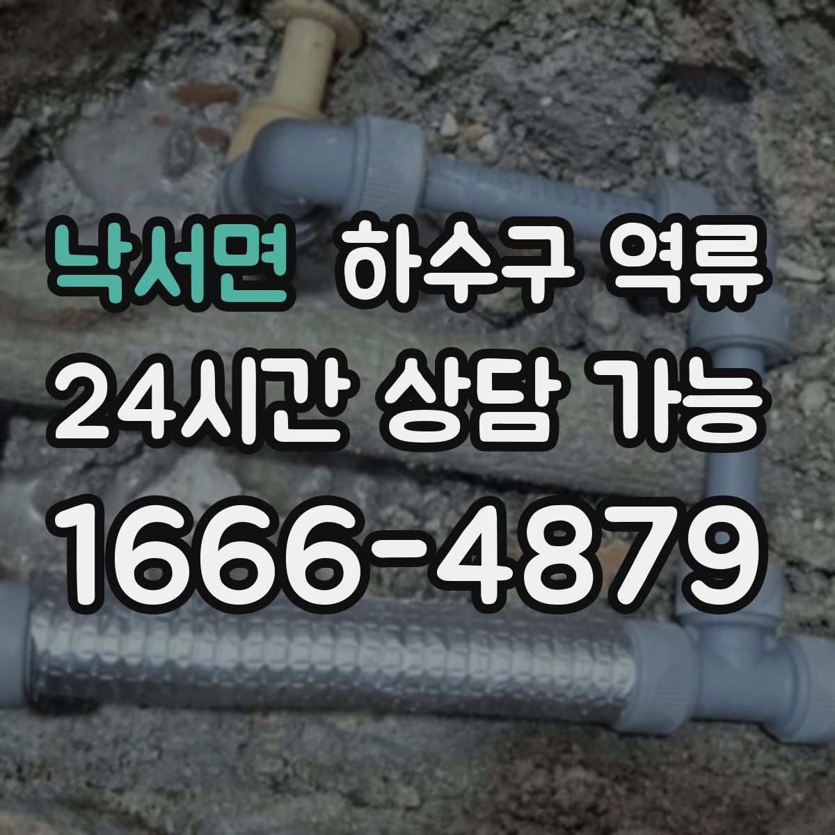 낙서면 하수구 역류