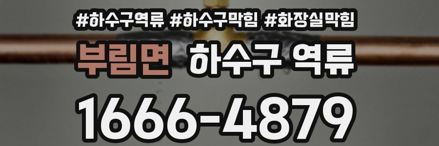 부림면 하수구 역류