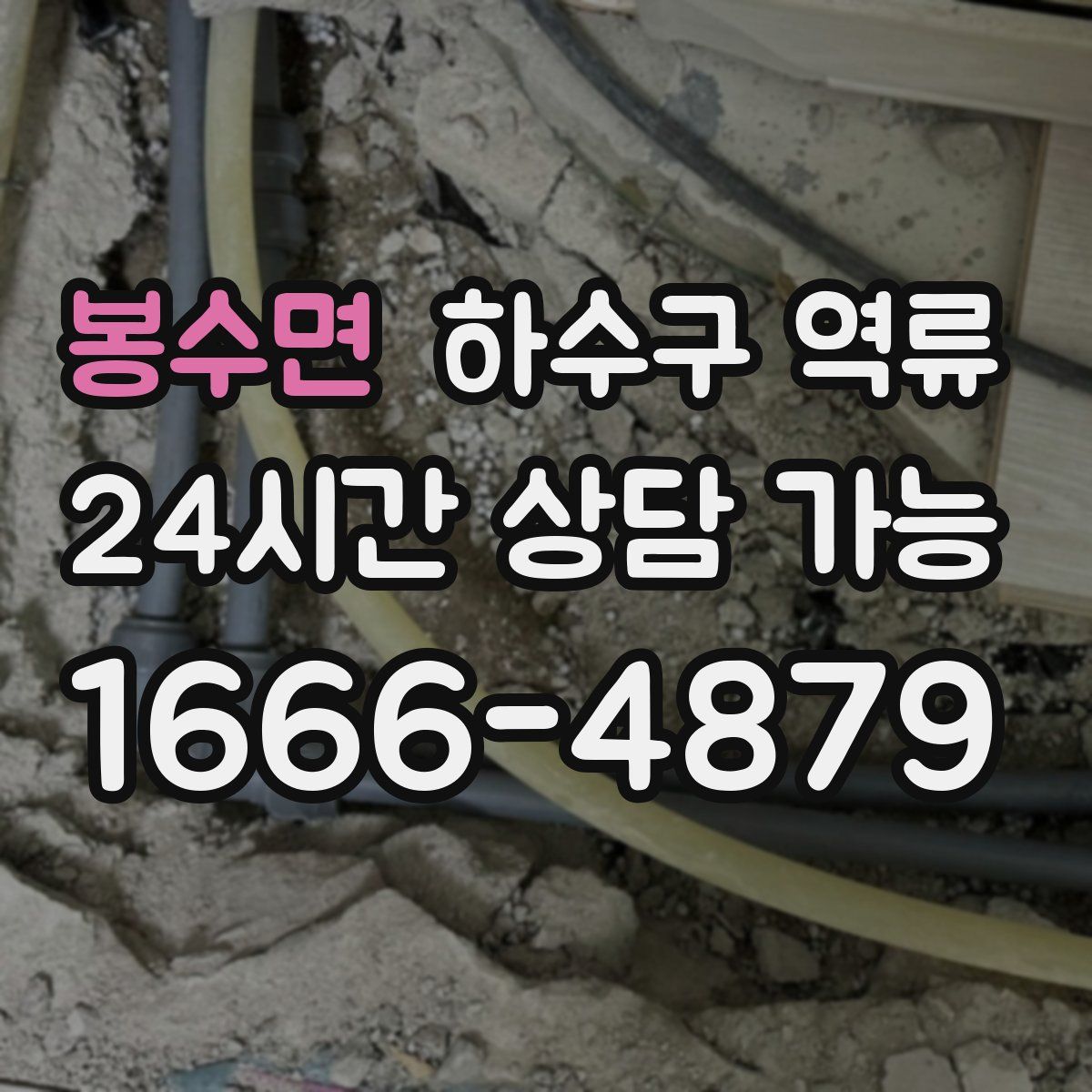 봉수면 하수구 역류