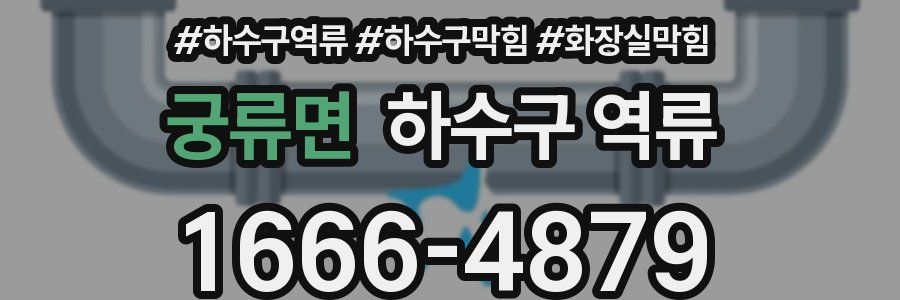 궁류면 하수구 역류