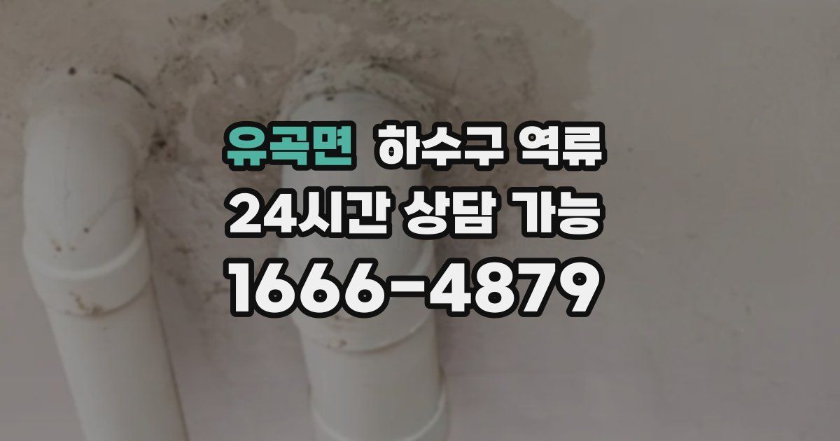 유곡면 하수구 역류