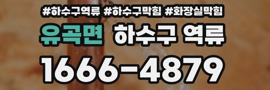 유곡면 하수구 역류