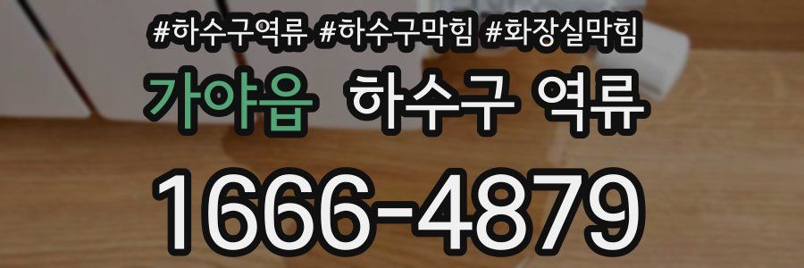 가야읍 하수구 역류