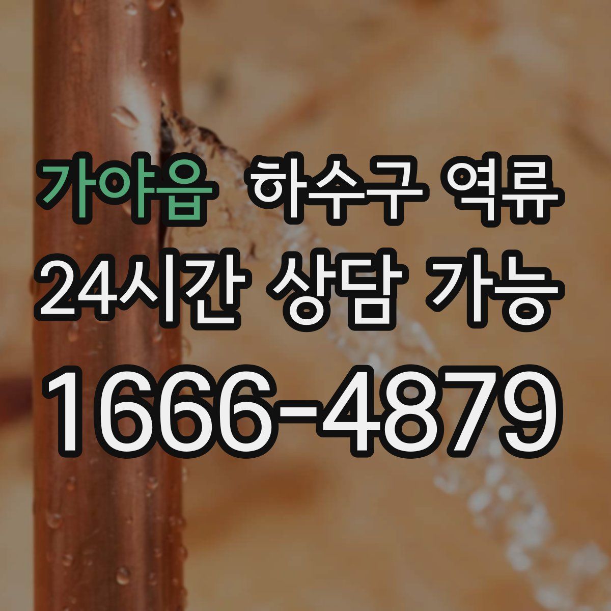 가야읍 하수구 역류