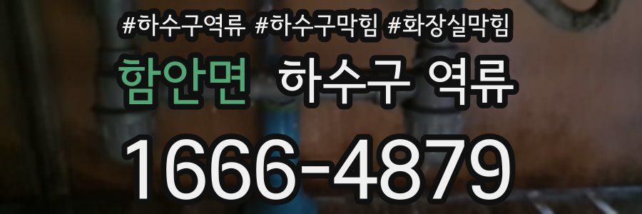 함안면 하수구 역류