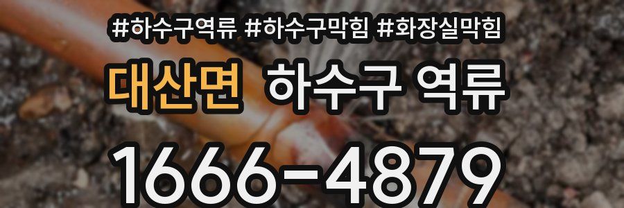 대산면 하수구 역류