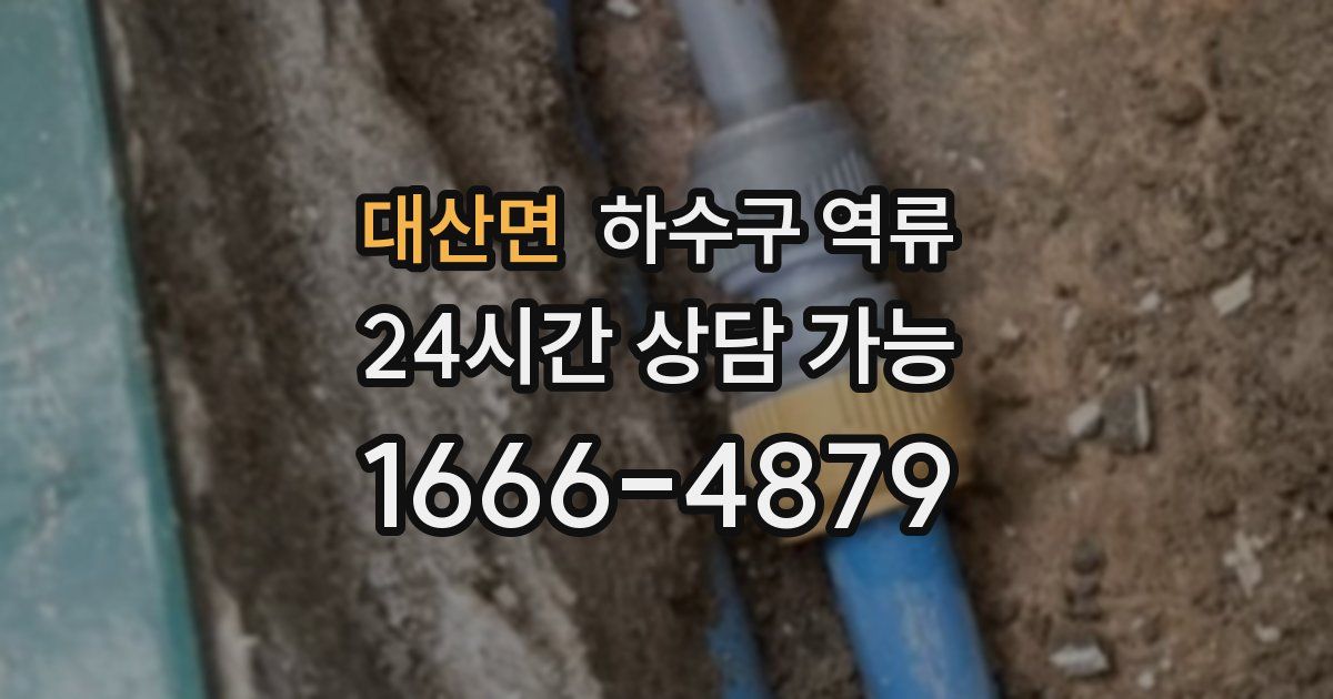 대산면 하수구 역류