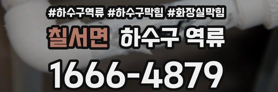 칠서면 하수구 역류