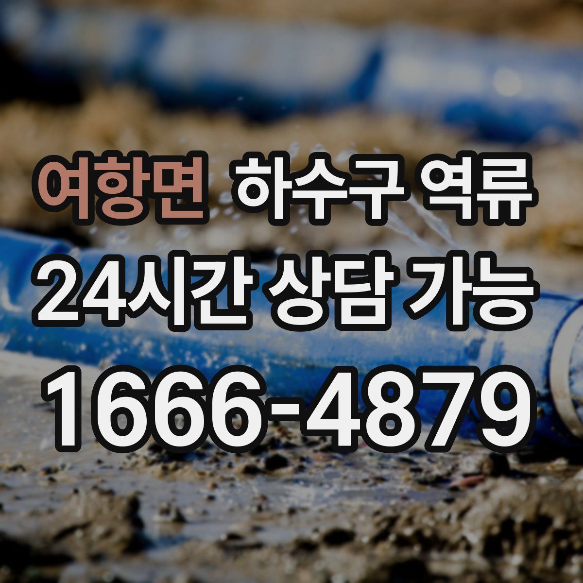 여항면 하수구 역류