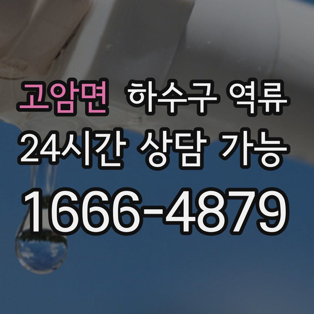 고암면 하수구 역류