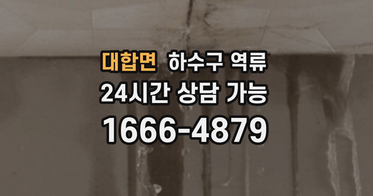 대합면 하수구 역류