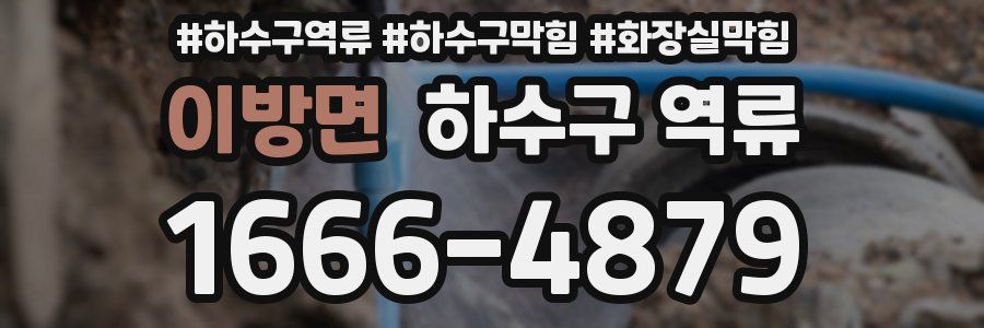 이방면 하수구 역류