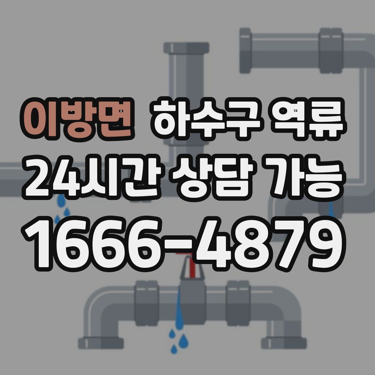 이방면 하수구 역류