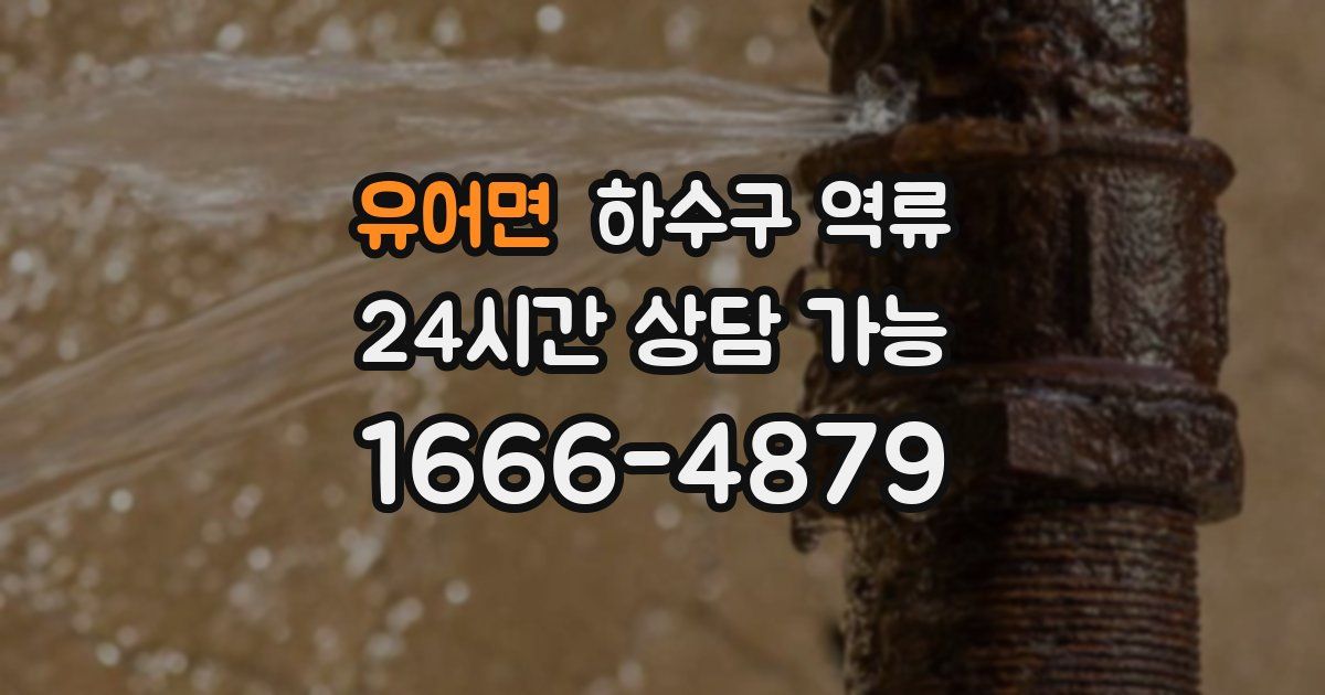 유어면 하수구 역류