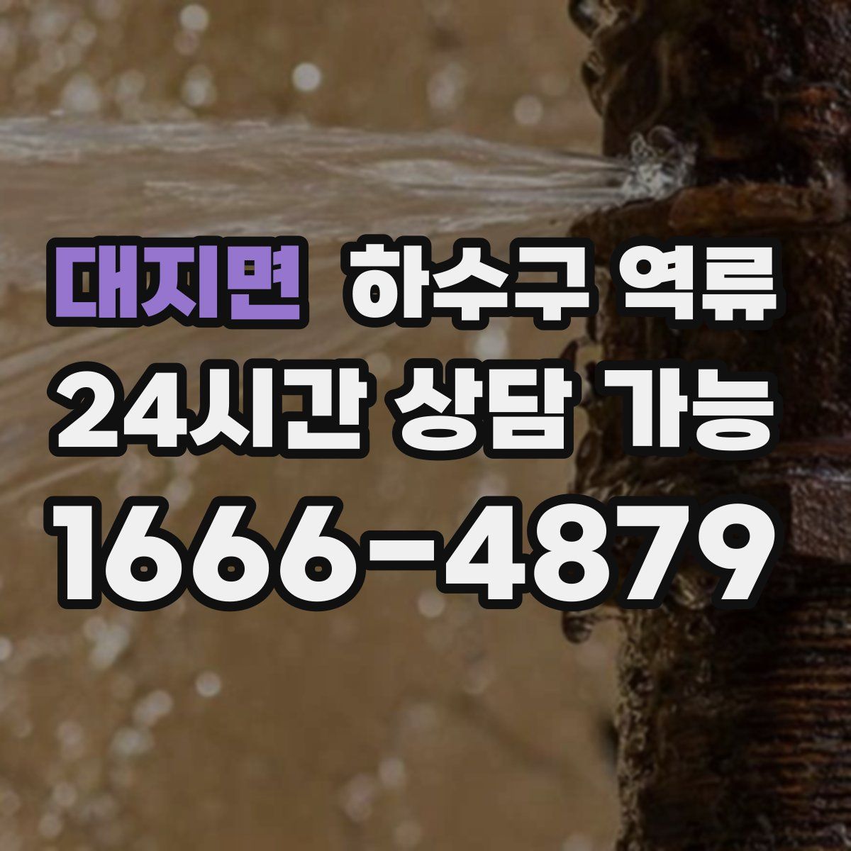 대지면 하수구 역류