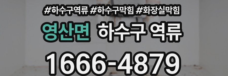 영산면 하수구 역류