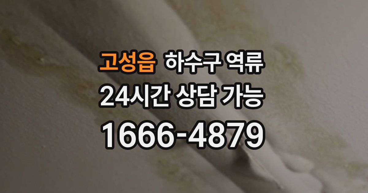 고성읍 하수구 역류