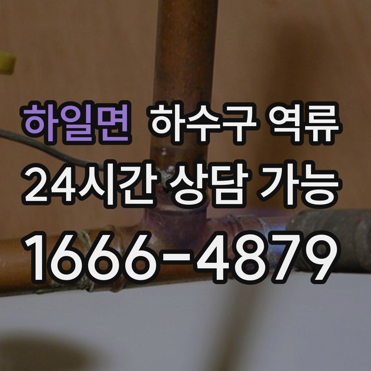 하일면 하수구 역류