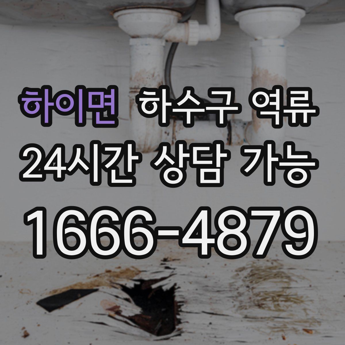 하이면 하수구 역류