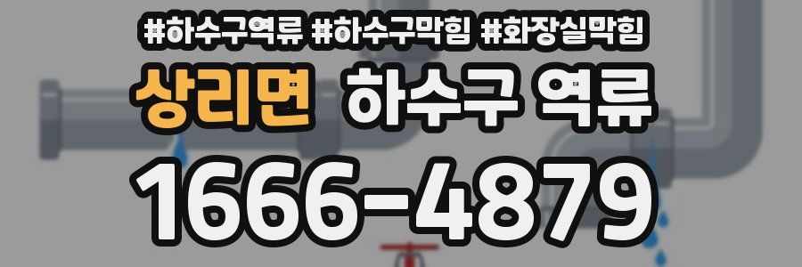상리면 하수구 역류