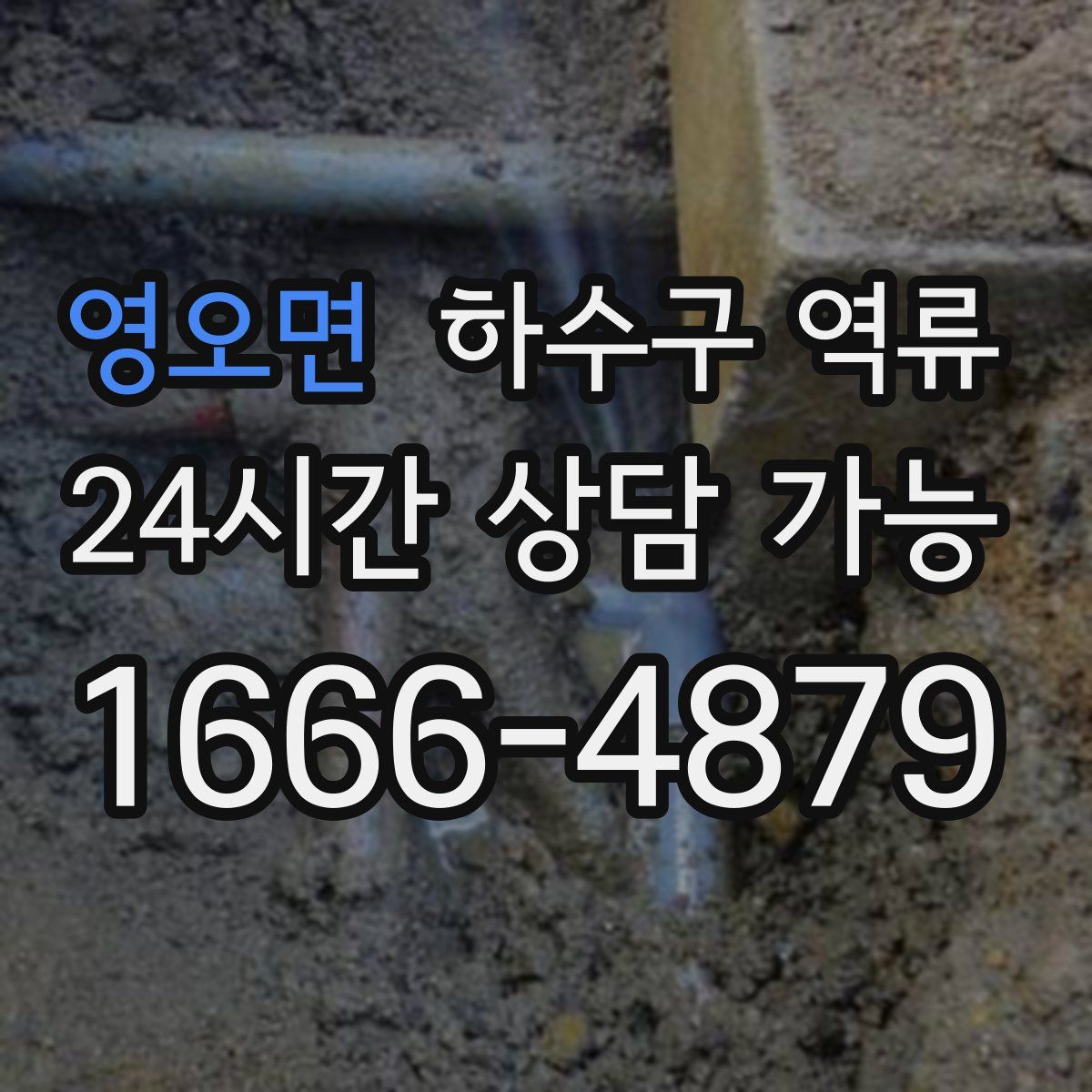 영오면 하수구 역류