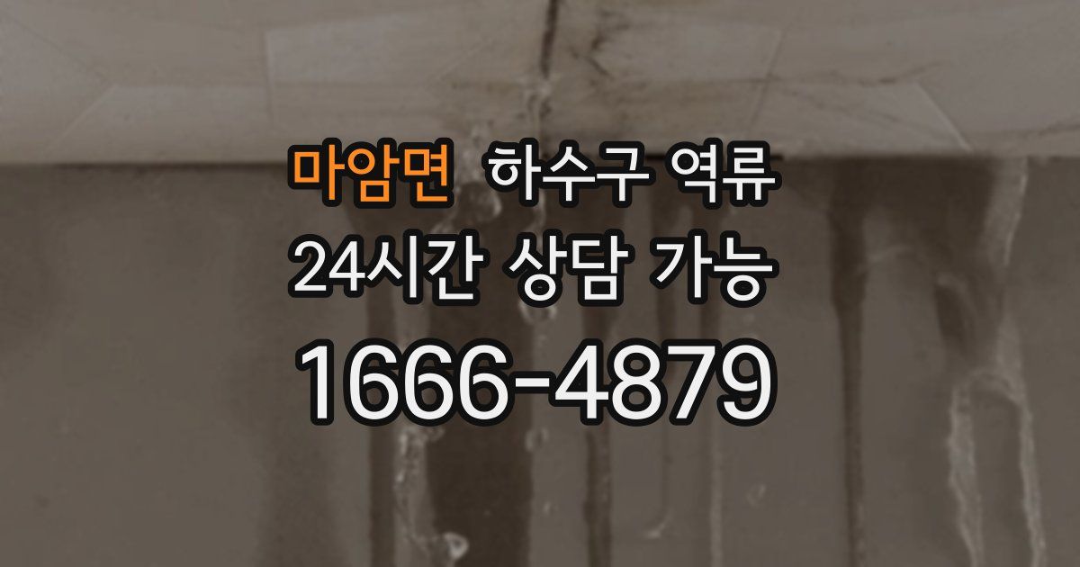 마암면 하수구 역류