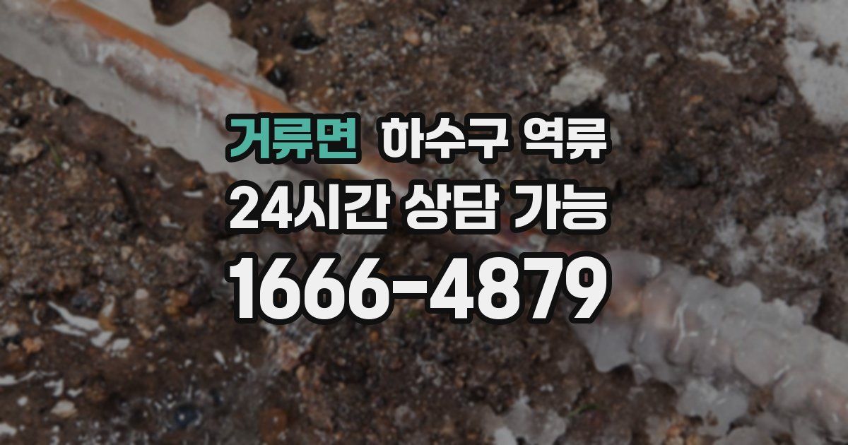 거류면 하수구 역류