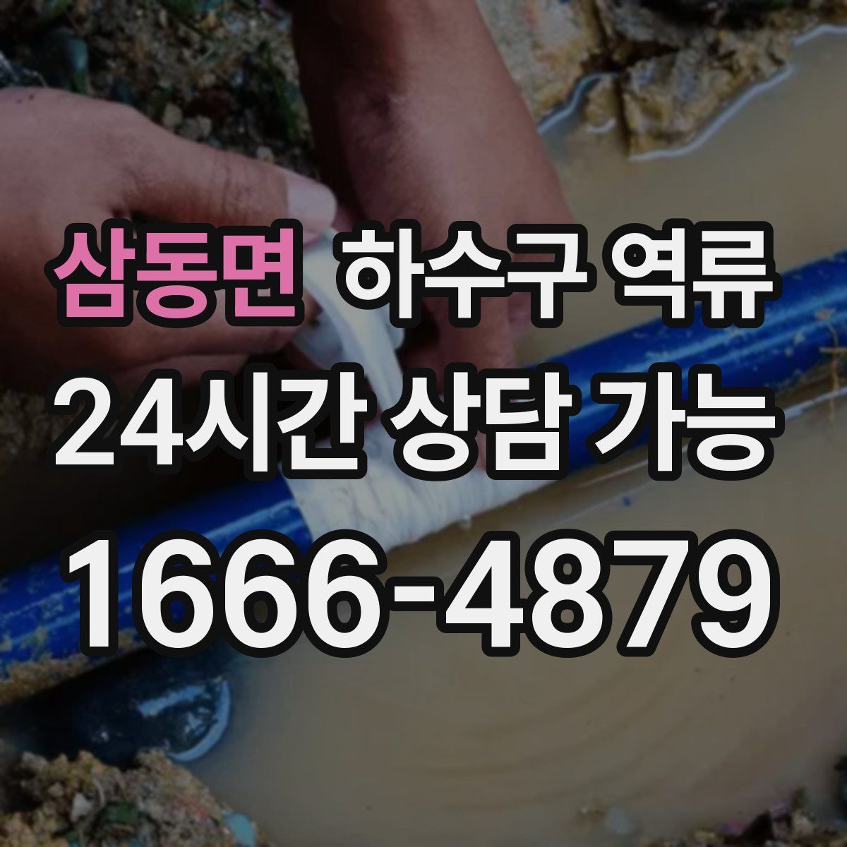 삼동면 하수구 역류