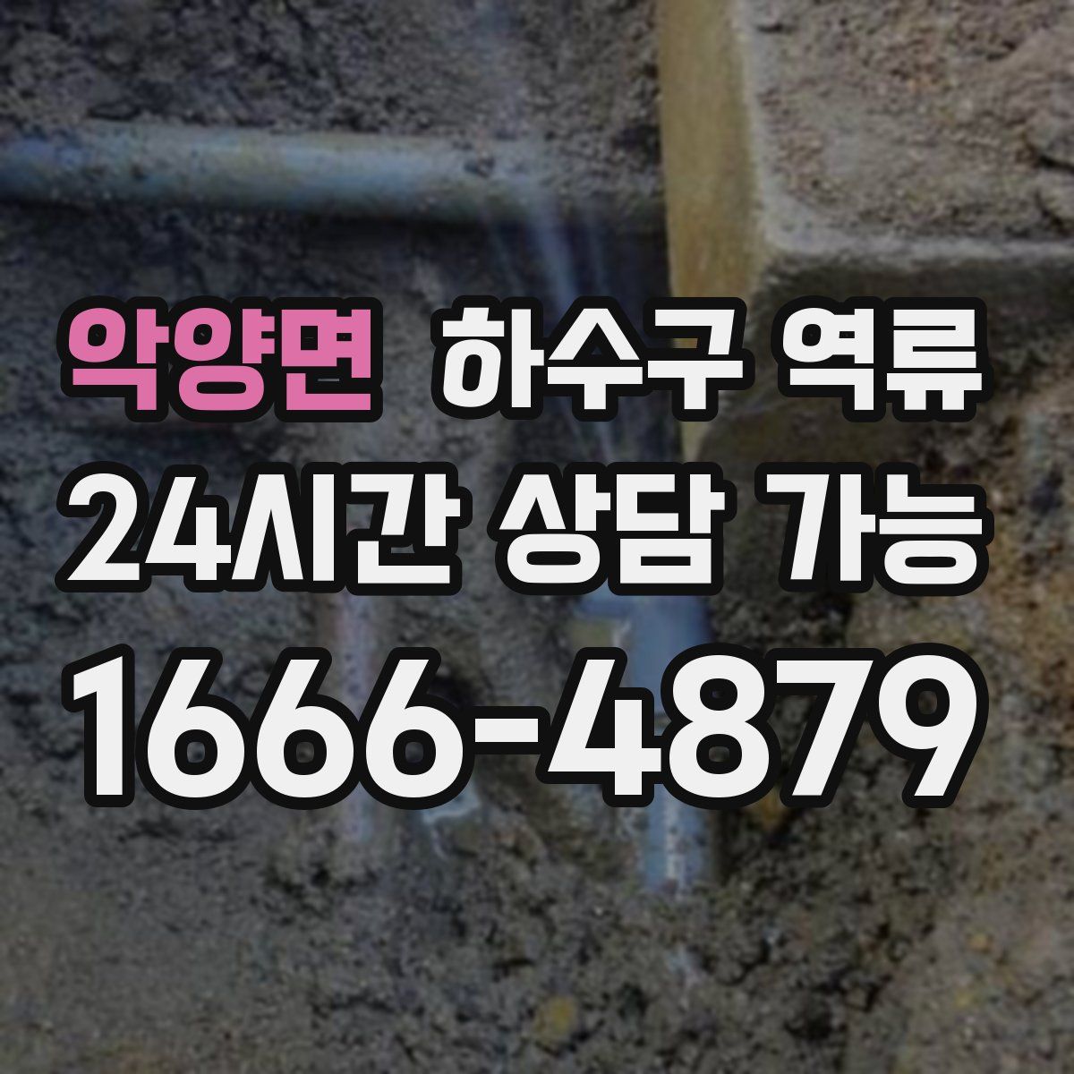 악양면 하수구 역류