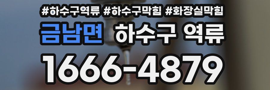 금남면 하수구 역류