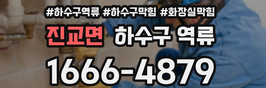 진교면 하수구 역류