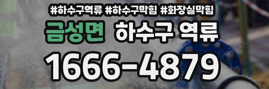 금성면 하수구 역류