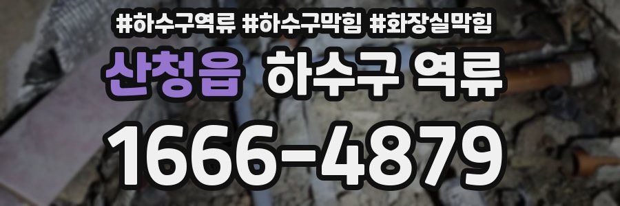 산청읍 하수구 역류