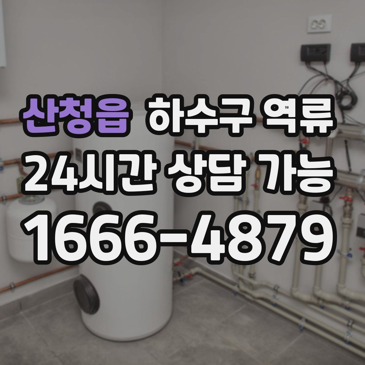 산청읍 하수구 역류