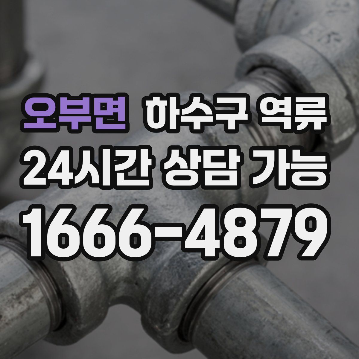 오부면 하수구 역류