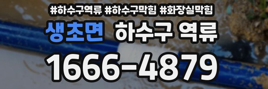 생초면 하수구 역류