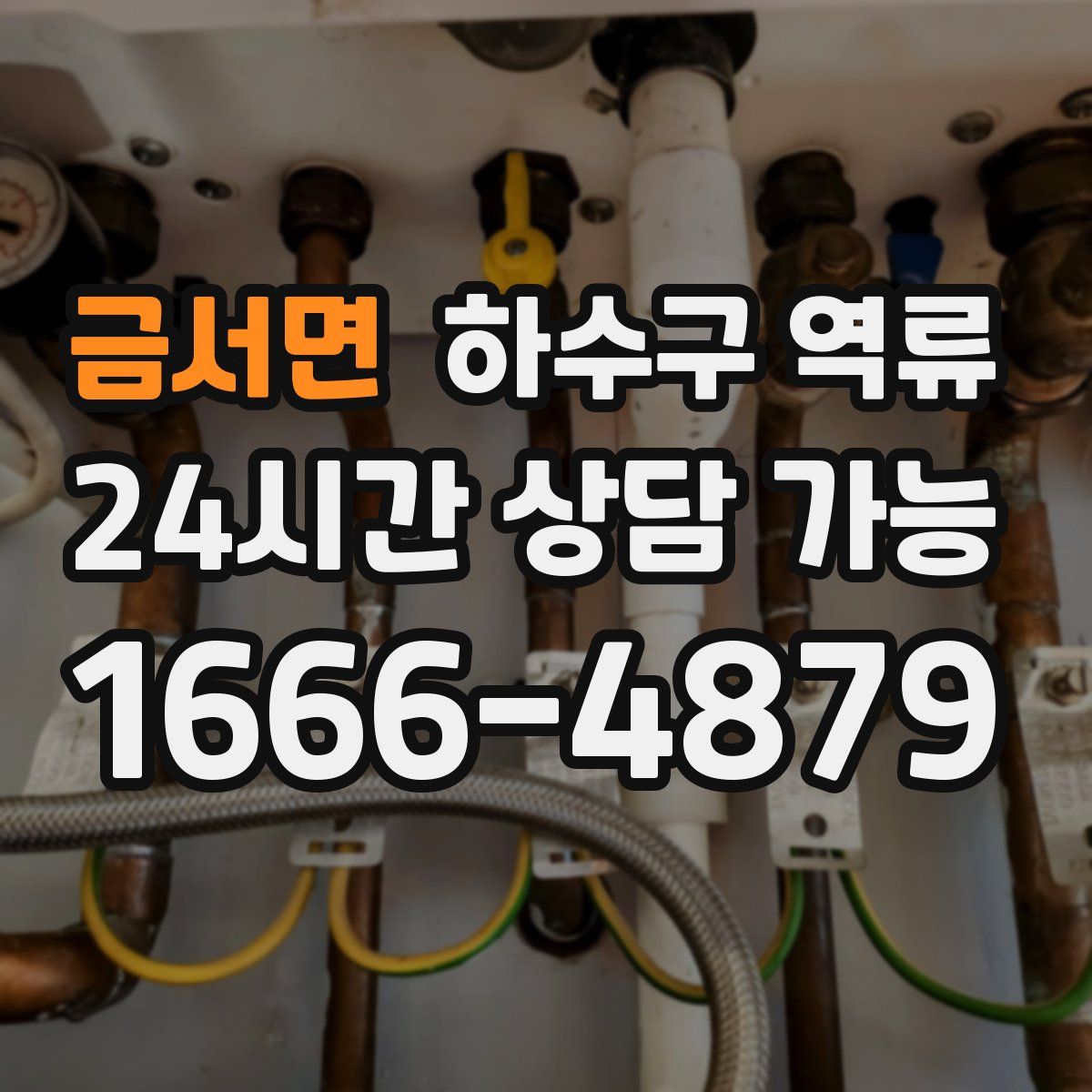 금서면 하수구 역류