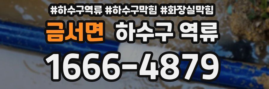 금서면 하수구 역류