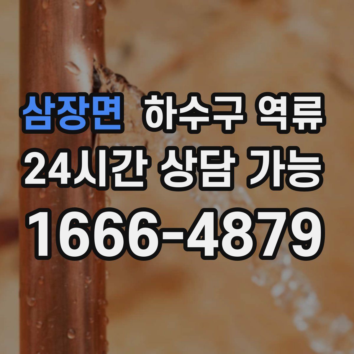 삼장면 하수구 역류