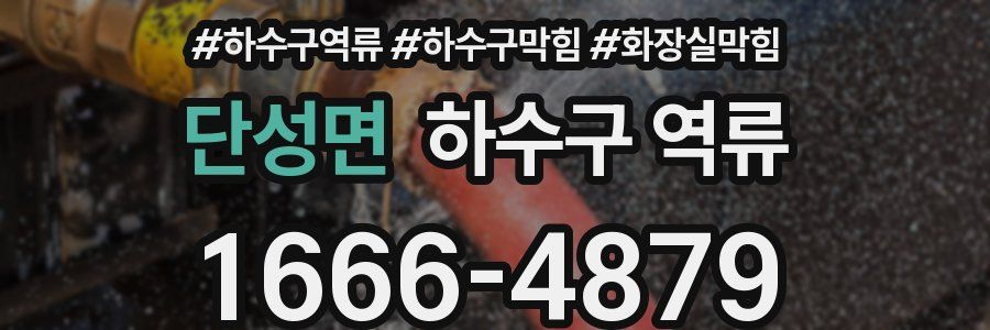 단성면 하수구 역류