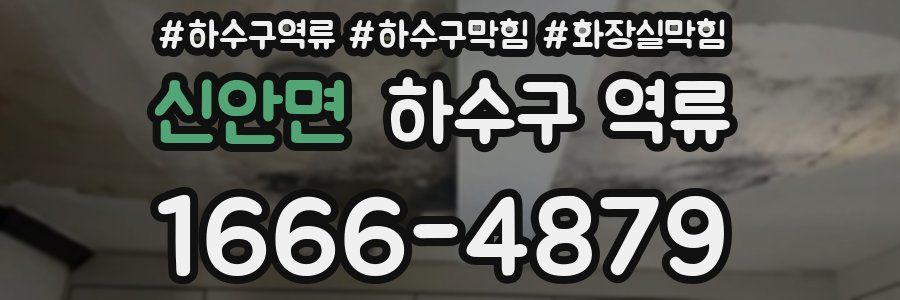신안면 하수구 역류
