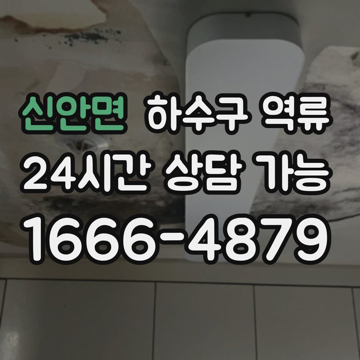 신안면 하수구 역류