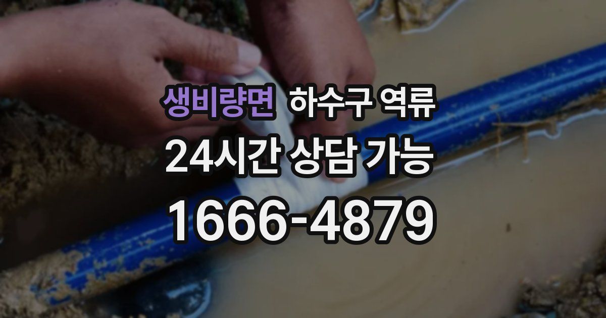 생비량면 하수구 역류