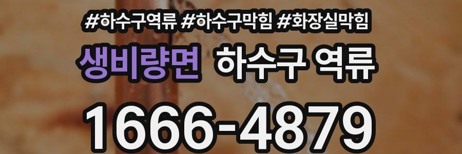 생비량면 하수구 역류