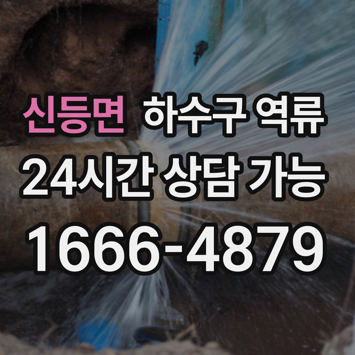 신등면 하수구 역류