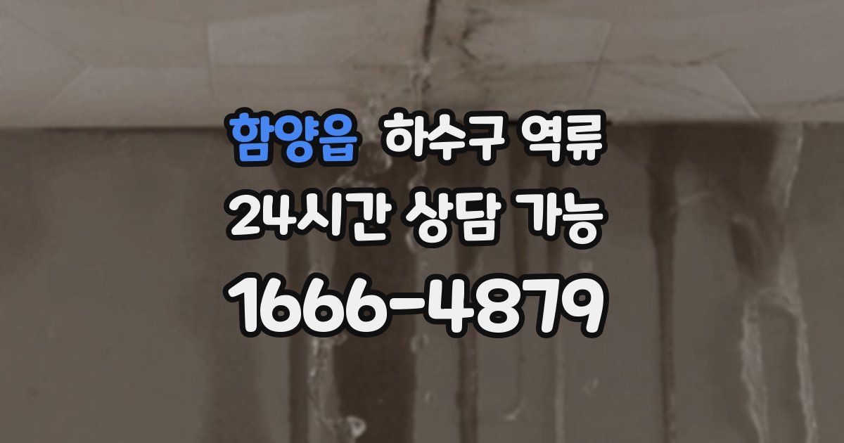 함양읍 하수구 역류
