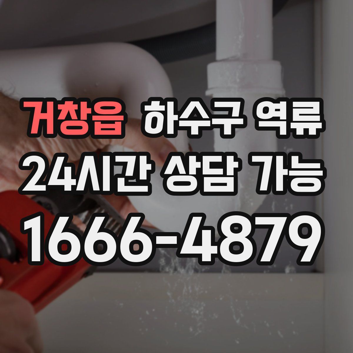 거창읍 하수구 역류